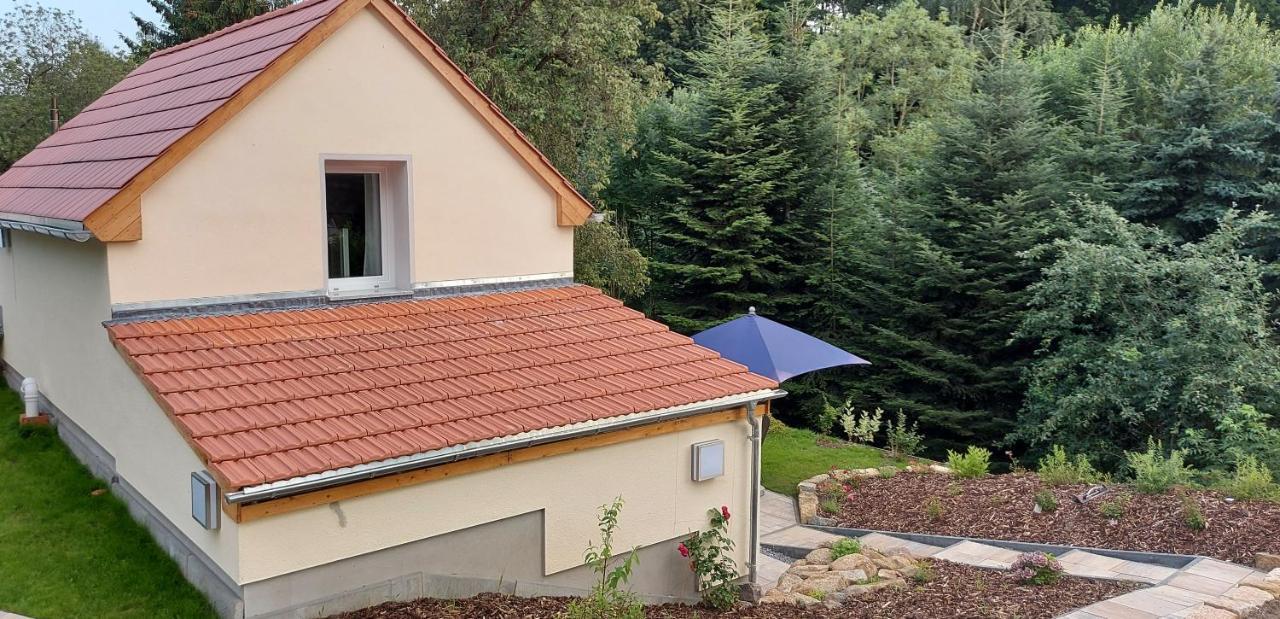 Ferienhaus Richtermuehle เซบนิทซ์ ภายนอก รูปภาพ